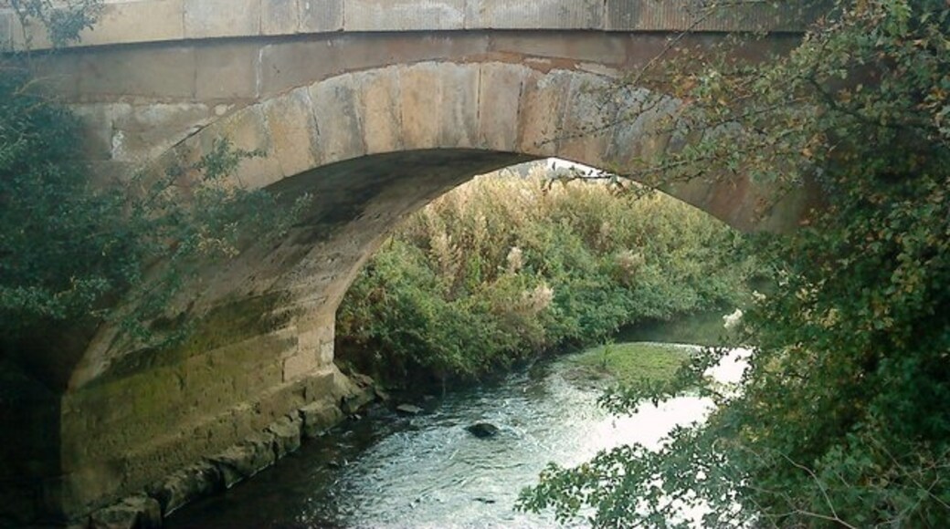 Photo "South Holme" by Matthew Hatton (CC BY-SA) / Cropped from original