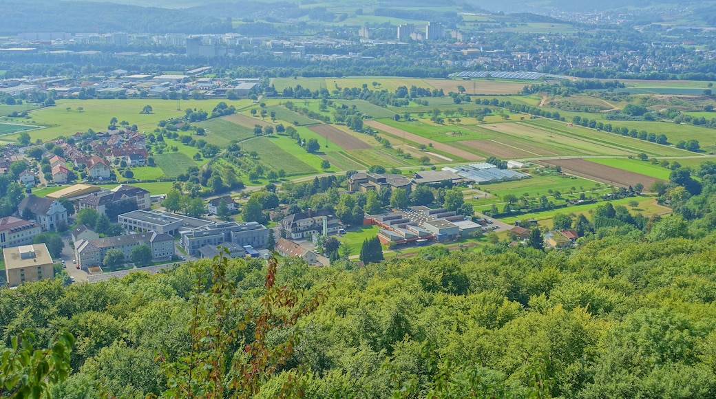 Foto ‘Rheinfelden’ van PantaRhei (CC BY-SA) / bijgesneden versie van origineel