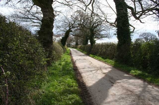 Purser Lane Quiet country lane near Shocklach.