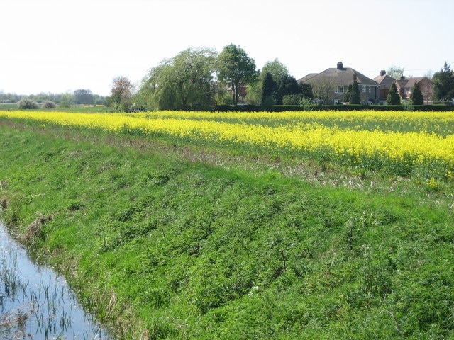 Housing at Elstow Housing in Elstow as photographed from the "John Bunyan Trail"