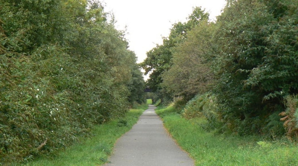 « Griffithstown», photo de Colin Madge (CC BY-SA) / rognée de l’originale