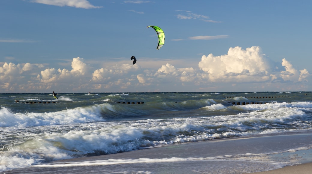 « Plage d'Ahrenshoop», photo de Marlis Börger (CC BY) / rognée de l’originale