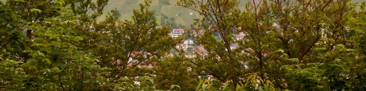 Photo "Blick zur Burg Hohenneuffen" by qwesy qwesy (Creative Commons Attribution 3.0) / Cropped from original
