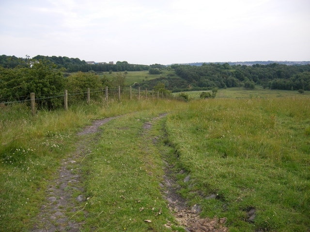 Public footpath leading to Causey Arch