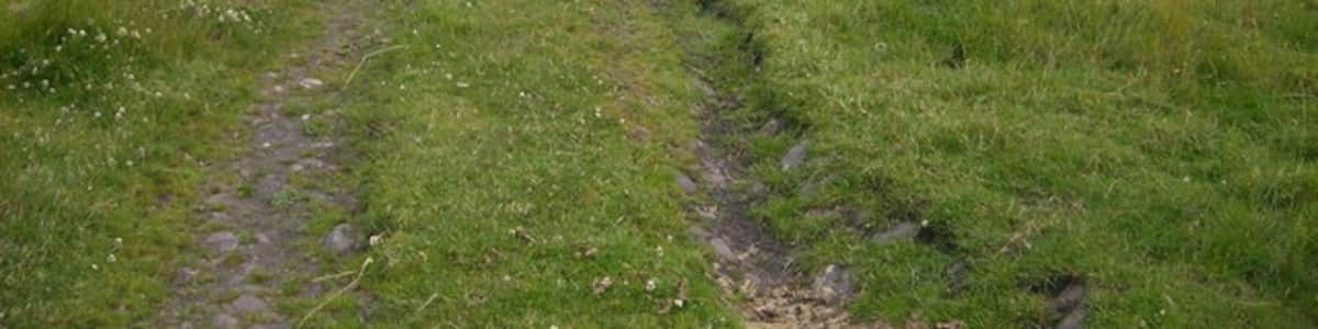 Photo "Public footpath leading to Causey Arch" by brian clark (Creative Commons Attribution-Share Alike 2.0) / Cropped from original