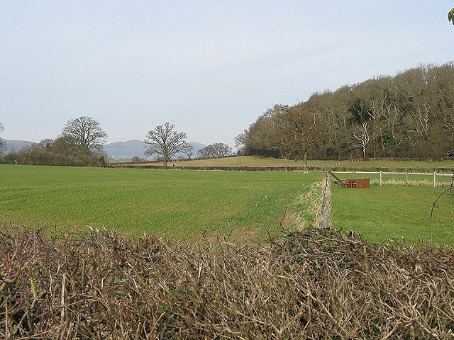 Ảnh "Pendock" của Pauline Eccles (CC BY-SA) / Cắt từ ảnh gốc