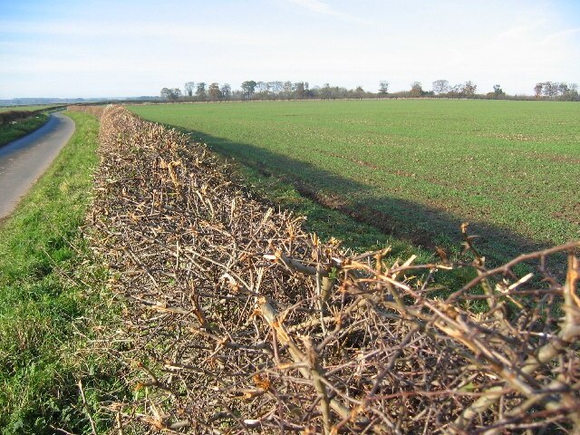 "Beswick"-foto av Stephen Horncastle (CC BY-SA) / Urklipp från original