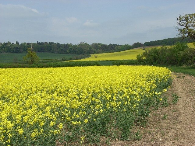 "Westcott"-foto av Andrew Smith (CC BY-SA) / Urklipp från original