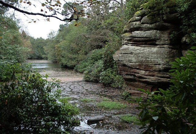 Foto “Plompton” tomada por David Pickersgill (CC BY-SA); recorte de la original