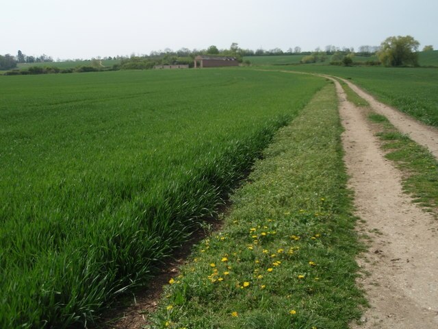 Foto „Glatton“ von Michael Trolove (CC BY-SA)/zugeschnittenes Original