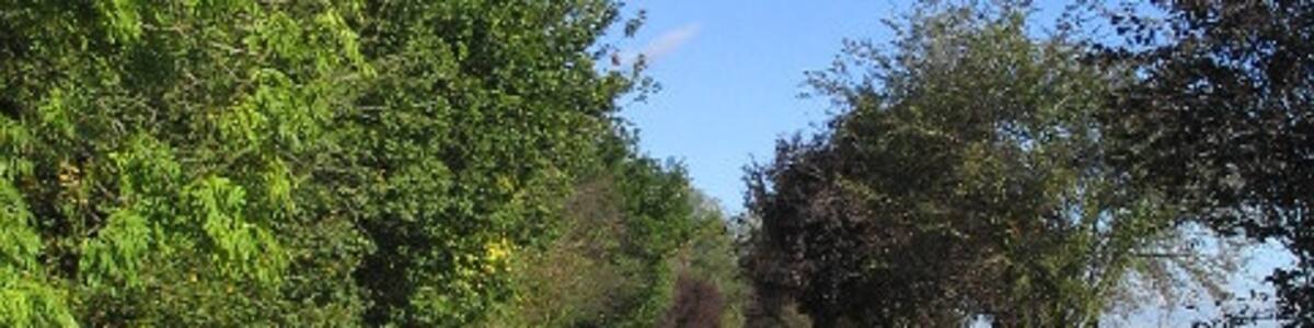 Photo "Entrance to Fingrith Hall, Essex. Looking north along this private paved road to the Hall" by John Winfield (Creative Commons Attribution-Share Alike 2.0) / Cropped from original
