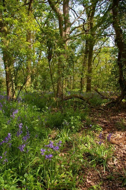 Kuva ”Pohjoinen Fambridge” käyttäjältä Glyn Baker (CC BY-SA) / rajattu alkuperäisestä kuvasta