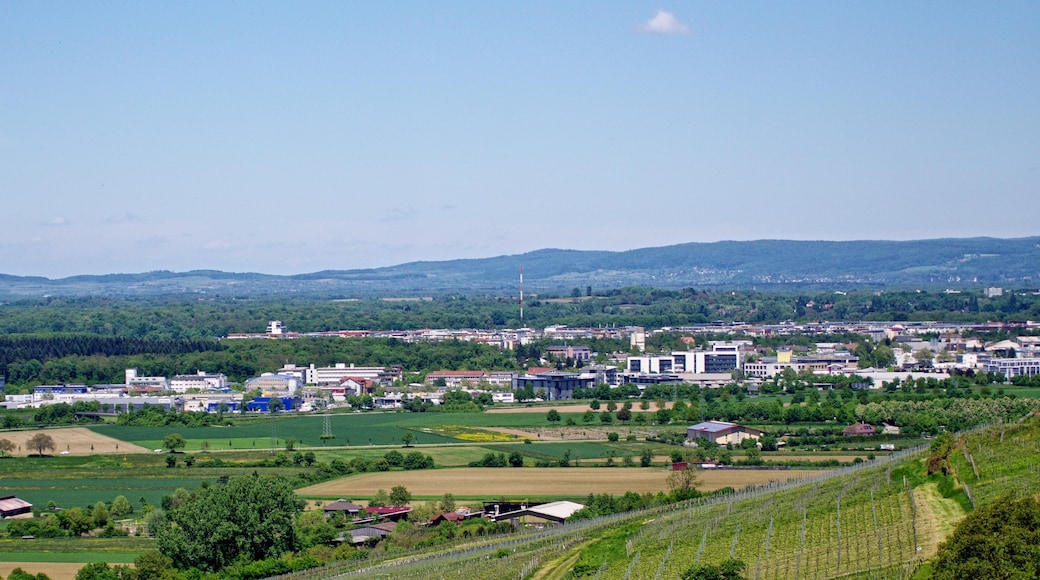 Photo "Schallstadt" by Joergens.mi (CC BY-SA) / Cropped from original