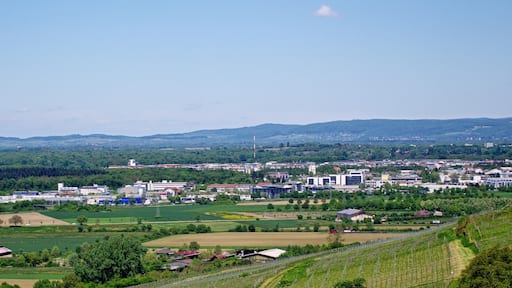 写真「ヴォルフェンヴァイラー」 投稿者 Joergens.mi 様 (CC BY-SA) / 元の写真からトリミング