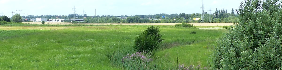 Photo "Blick von der Landesstraße L625 nach Westen Richtung Rautheim entlang dem Reitlingsgraben mit Renaturierungsgelände, stromabwärts." by undefined (Creative Commons Zero, Public Domain Dedication) / Cropped from original