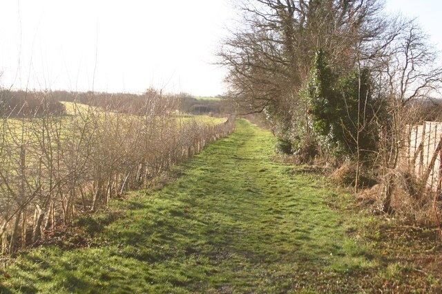 Footpath through Cow Pastures Footpath out from Woodhurst through Cow Pastures