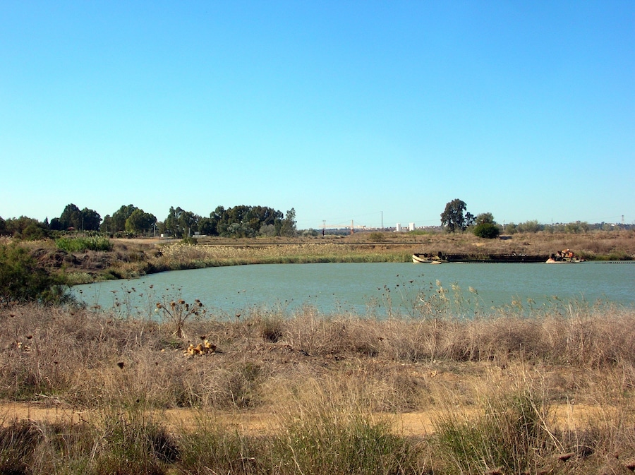 L'extrémité aval du canal Alphonse XIII au sud du port fluvial de Séville (Espagne)
