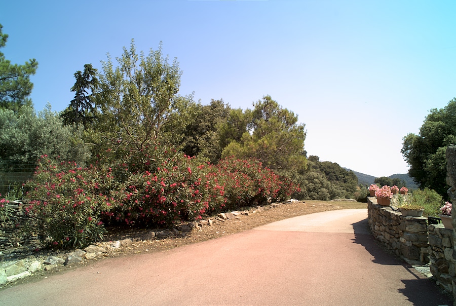 Route près de l'église Sainte-Marie de la Vluse Haute, Les Cluses (Pyrénées-Orientales, Languedoc-Roussillon, France)