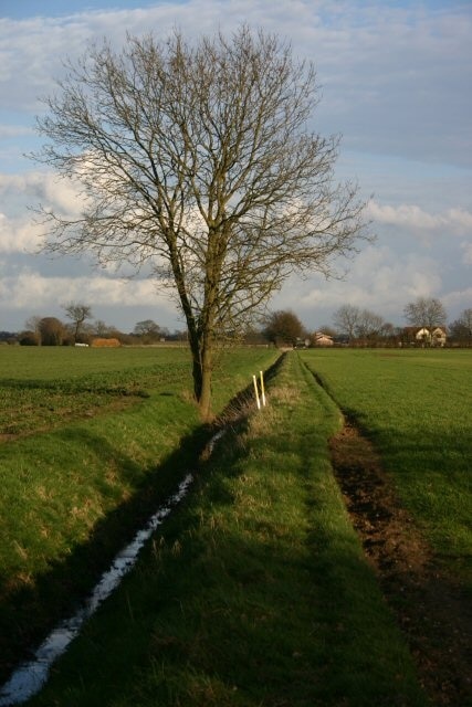 Footpath to Cromwell's Plantation Looking back towards the B1113 from Cromwell's Plantation. This path only goes as far as the plantation, which contains a well-preserved earthwork - see 356327.