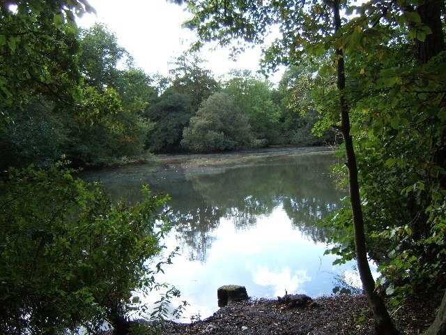 Lower Pond, Ashtead Park.