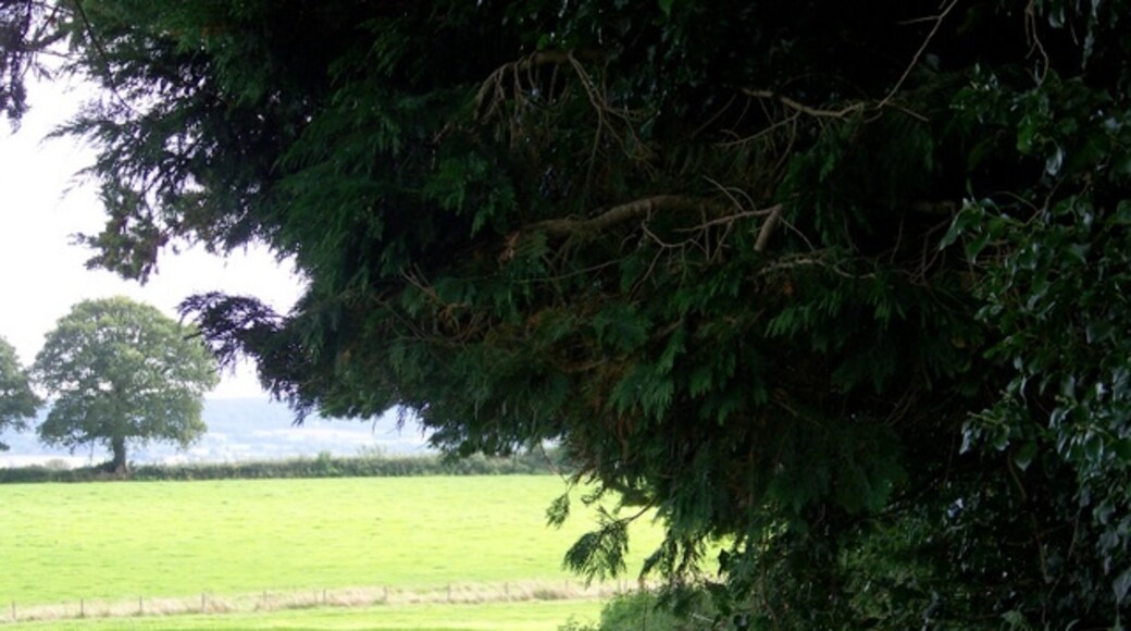 Foto "Feniton" de Trish Steel (CC BY-SA) / Recortada do original