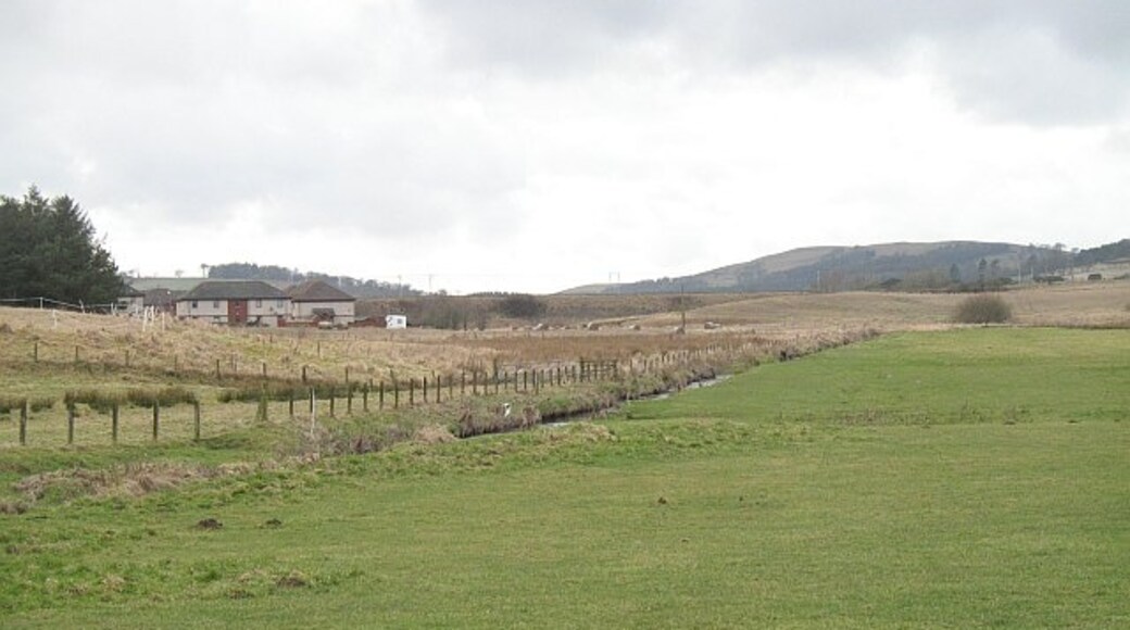 Photo "Covington" by Richard Webb (CC BY-SA) / Cropped from original