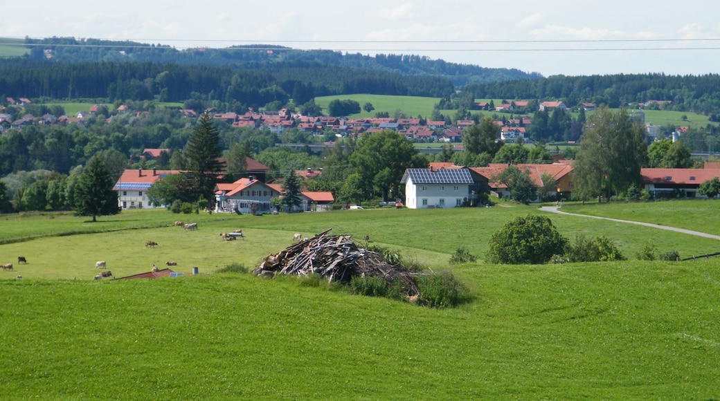 Photo "Sulzberg" by Mayer Richard (CC BY) / Cropped from original