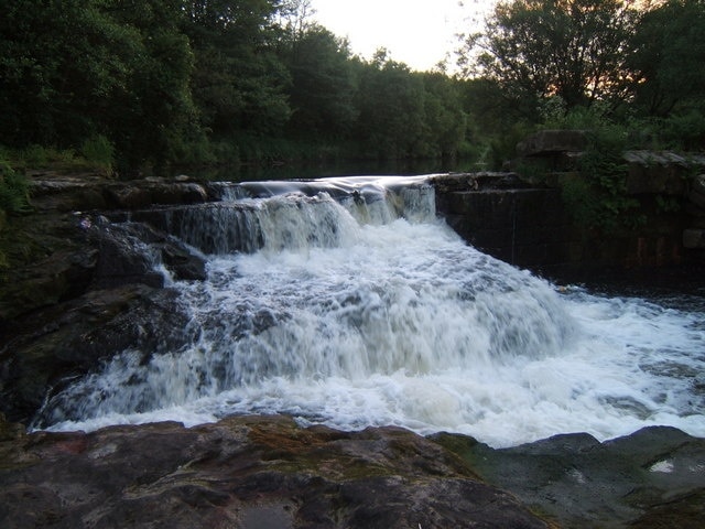 Carron River Weir at Larbert June08