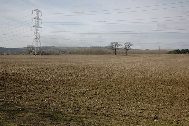 Foto “Hinton on the Green” tomada por Philip Halling (CC BY-SA); recorte de la original