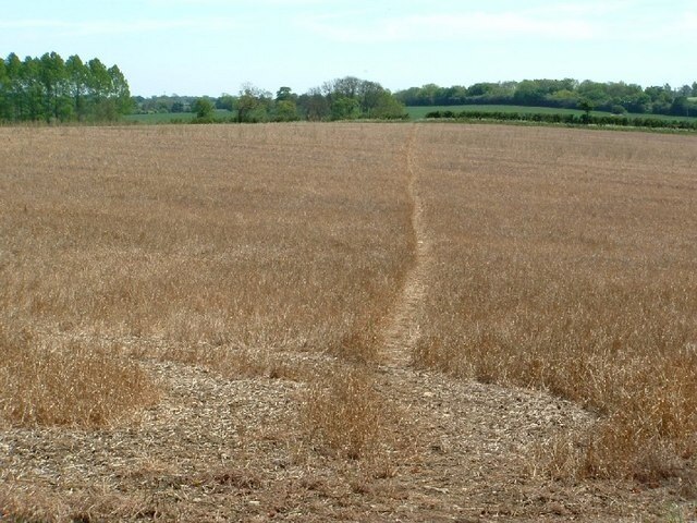 "Westbury"-foto av Snidge (CC BY-SA) / Urklipp från original