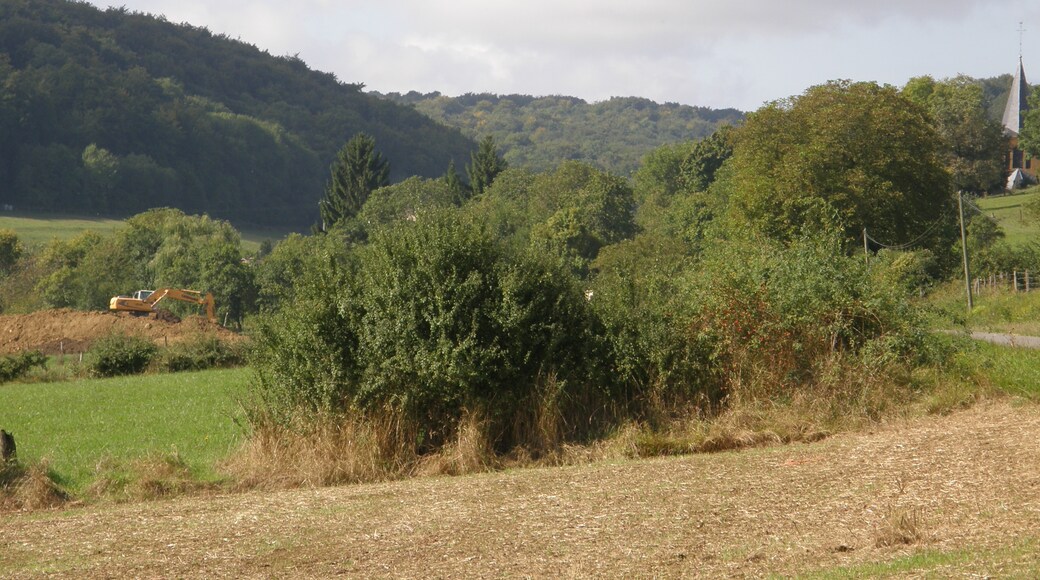 Photo "Réville-aux-Bois" by PC 055 428 13 C0002 (page does not exist) (CC BY-SA) / Cropped from original