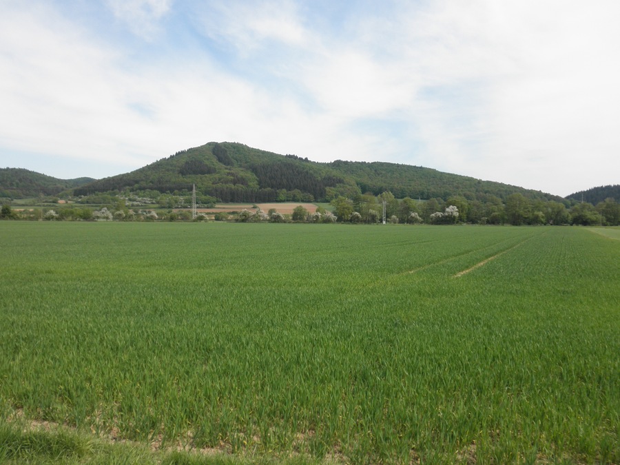 (NSG:HE-1534025)_Homberg bei Buchenau, the protected landscape is situated on the back of the mountain