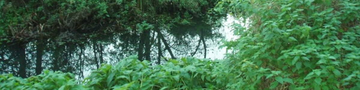 Photo "River Tas between Lower Tasburgh and Flordon The River Tas meanders its way roughly south-west to north-east through this grid square, passing under a bridge on the road between Lower Tasburgh and Flordon." by Jon Welch (Creative Commons Attribution-Share Alike 2.0) / Cropped from original