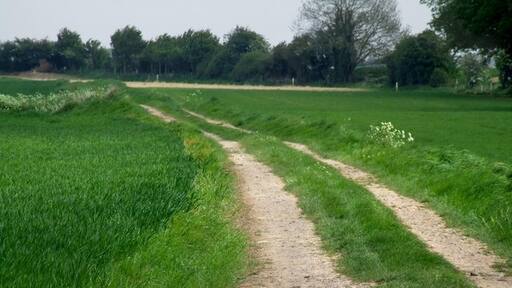 Kuva ”Langriville” käyttäjältä Dave Hitchborne (CC BY-SA) / rajattu alkuperäisestä kuvasta