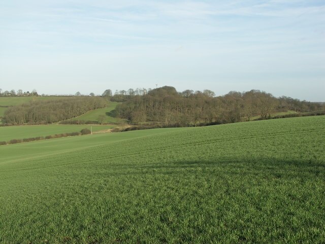 Foto „Dingley“ von Richard Williams (CC BY-SA)/zugeschnittenes Original