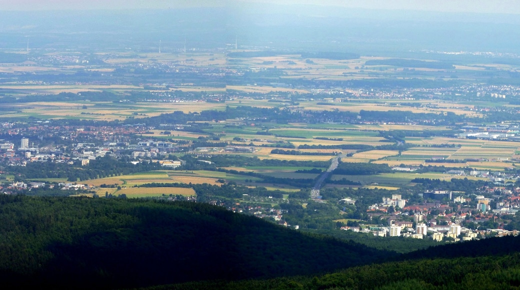 Photo "Feldberg Mountain" by giggel (CC BY) / Cropped from original