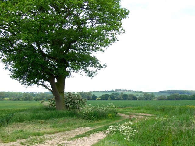 Photo "West Keal" by Dave Hitchborne (CC BY-SA) / Cropped from original