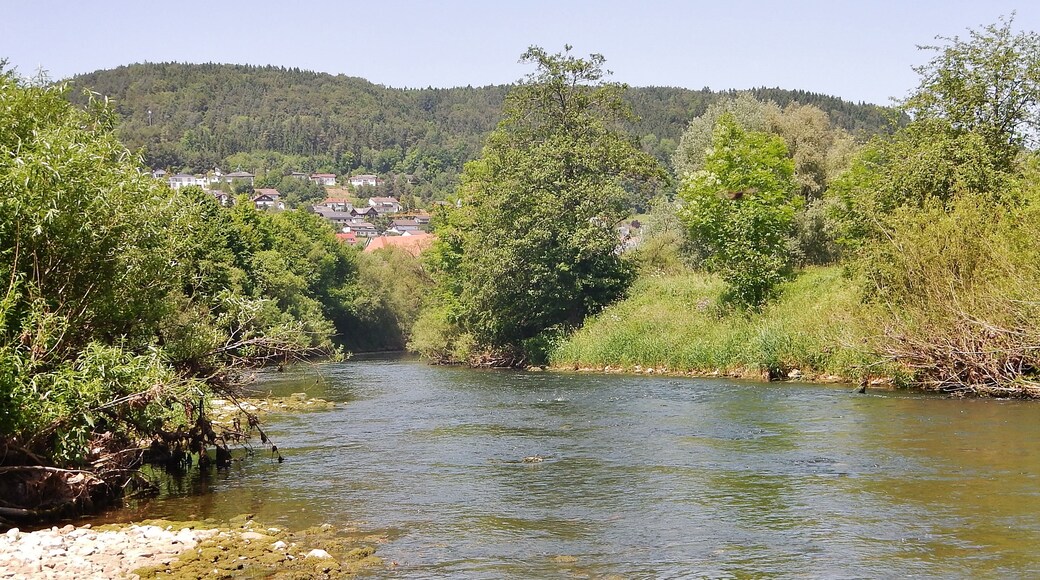 Foto ‘Horb am Neckar’ van qwesy qwesy (CC BY) / bijgesneden versie van origineel