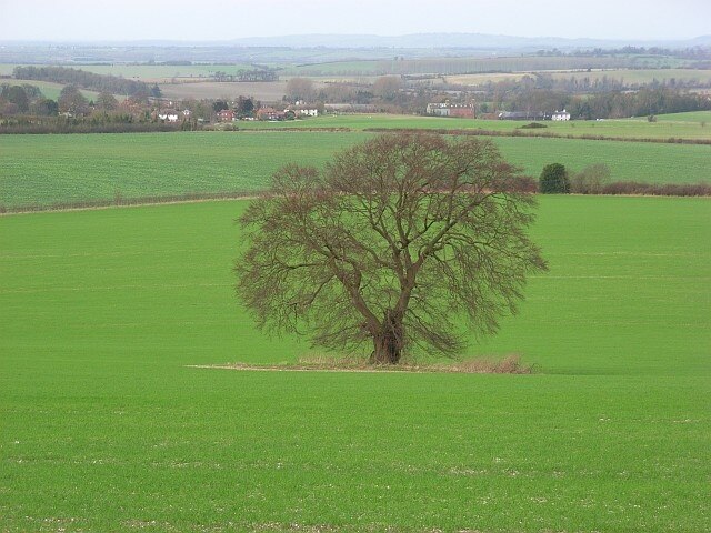 Photo "Swyncombe" by Andrew Smith (CC BY-SA) / Cropped from original