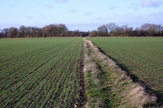 Kuva ”Preston St. Mary” käyttäjältä Andrew Hill (CC BY-SA) / rajattu alkuperäisestä kuvasta