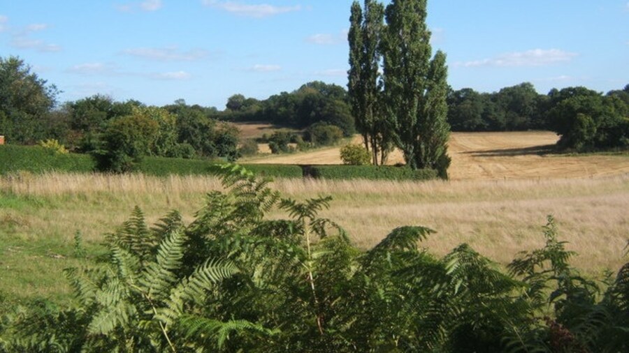 Photo "Late summer countryside with poplars" by Andrew Hill (Creative Commons Attribution-Share Alike 2.0) / Cropped from original