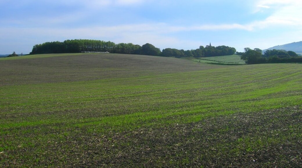 Foto "Berwick" de Simon Carey (CC BY-SA) / Recortada do original