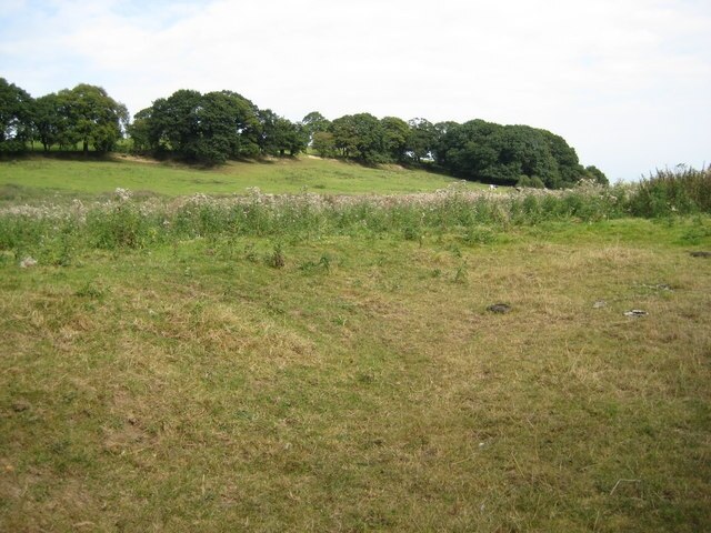 "Prees"-foto av Peter Fleming (CC BY-SA) / Urklipp från original