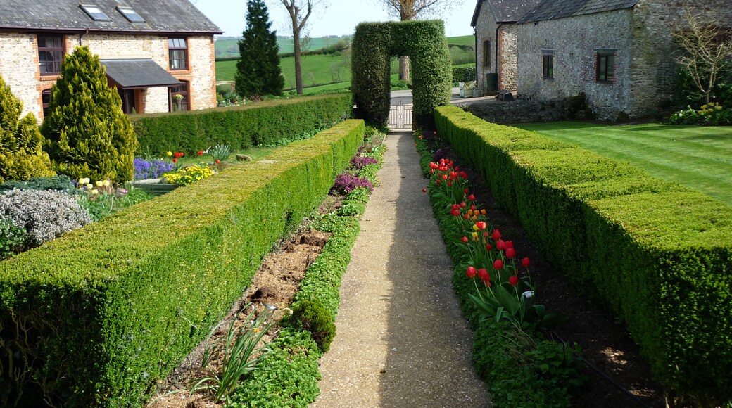 Kuva ”Combe Raleigh” käyttäjältä Alin Simion (CC BY) / rajattu alkuperäisestä kuvasta