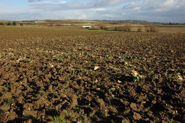 "Pinvin"-foto av Philip Halling (CC BY-SA) / Urklipp från original