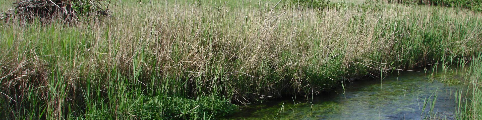 Wanderung Märkische Schweiz Stöbbertal