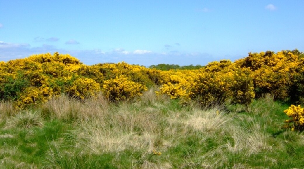 "Bowness"-foto av Simon Huguet (CC BY-SA) / Urklipp från original