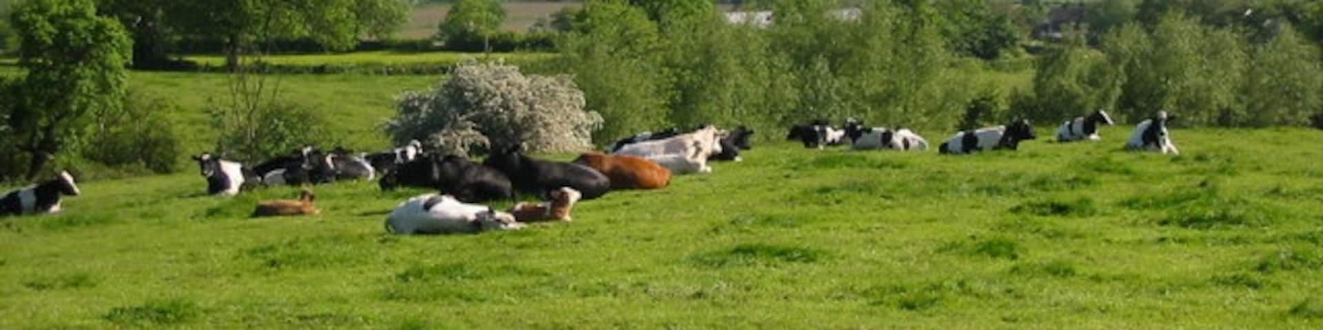 Windley, Belper, Inglaterra, Reino Unido