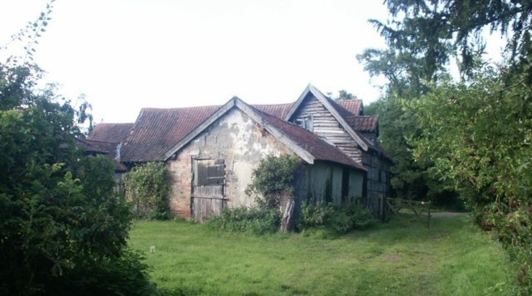 Foto „Bracon Ash“ von Katy Walters (CC BY-SA)/zugeschnittenes Original