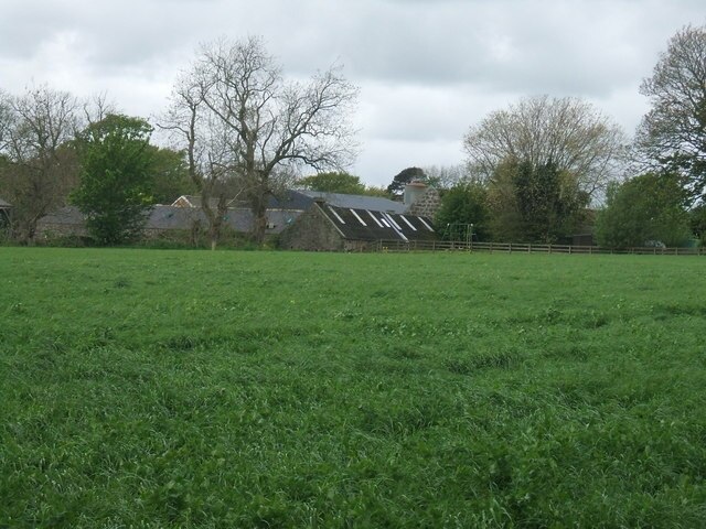 Ken Fitlike 님의 "민트로우" 사진(CC BY-SA) / 원본에서 잘라냄